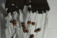 IMG_20191111_124144_resized_20191111_124203799