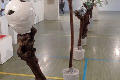 IMG_20230318_145516-scaled