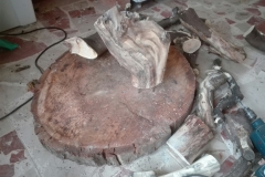 IMG_20190123_163229_resized_20190130_040816251