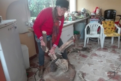 IMG_20190124_142941_resized_20190130_040819560