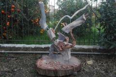 IMG_20190127_165731_resized_20190130_040817996