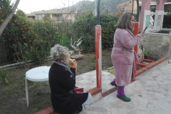 IMG_20190127_170110_resized_20190130_044018423