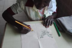 IMG_20200127_144633-scaled