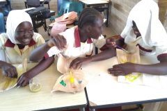 IMG_20200210_144154-scaled