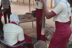 IMG_20200221_101030-scaled