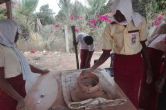 IMG_20200221_102916-scaled