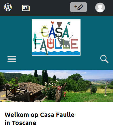 Website Casa Faulle